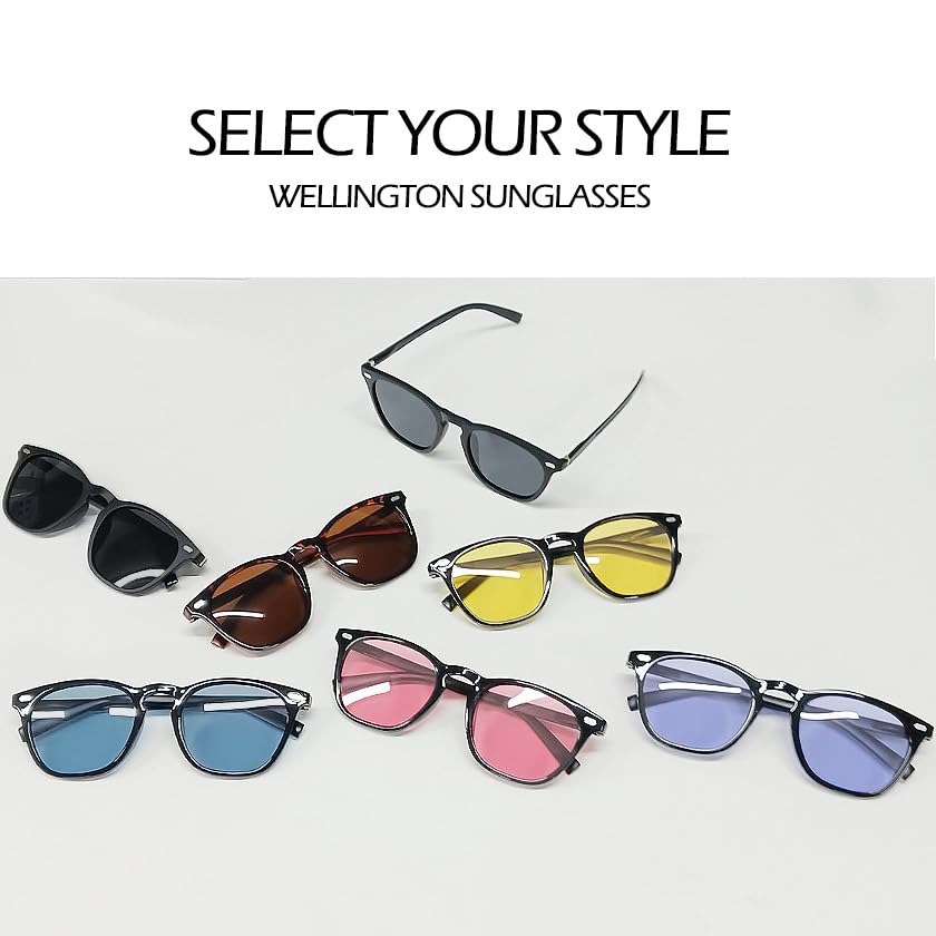 [ASIAN CLOSET] Brown (Non-Photochromic) Polarized Sunglasses, Photochromic Sunglasses, Wellington Sunglasses, Men's & Women's, UV400, Polarized