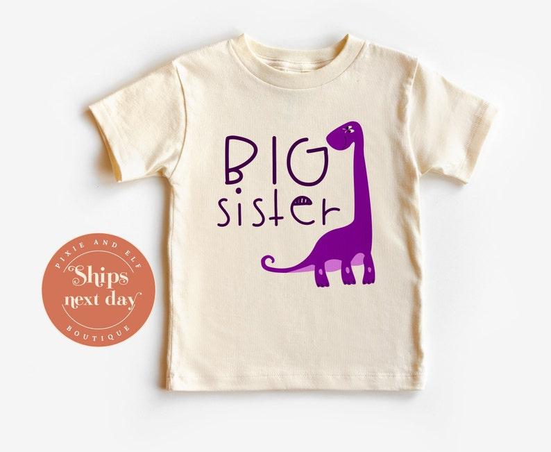 Big Sister T shirt with dinosaur, promoted to big sister, Pregnancy reveal shirt, big sister gift, girls sister shirt, matching family tee 110