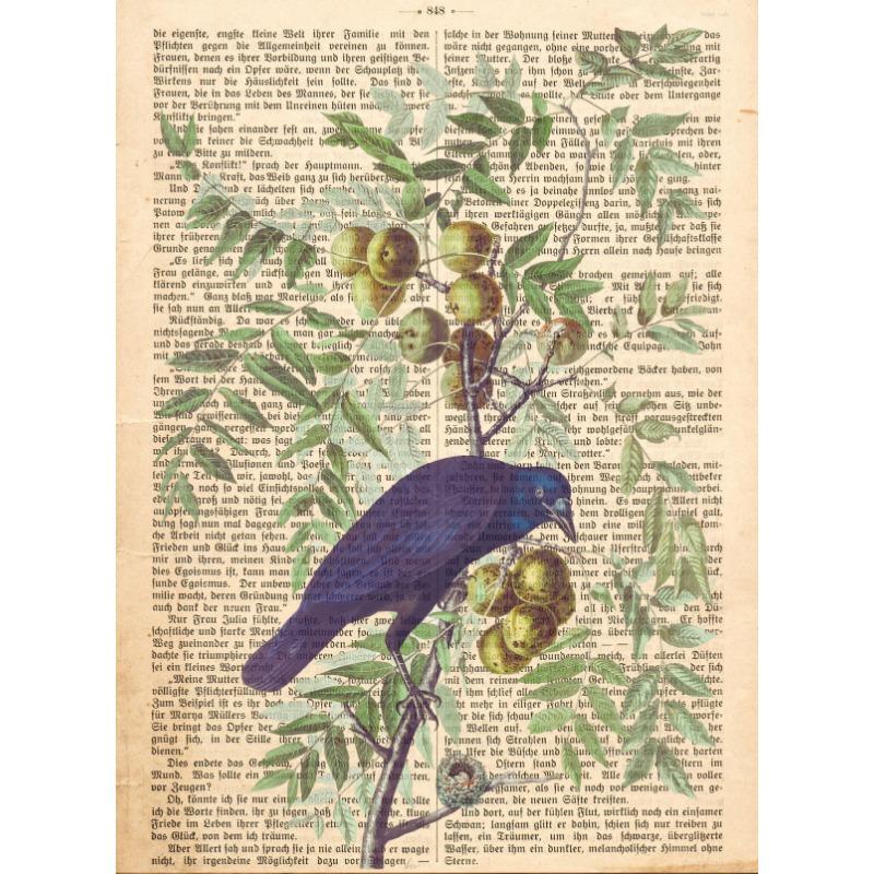 Garden Birds Prints On Old Antique Book Page Botanical Animals Poster and Prints Painting Wall Pictures Living Room Home Decor