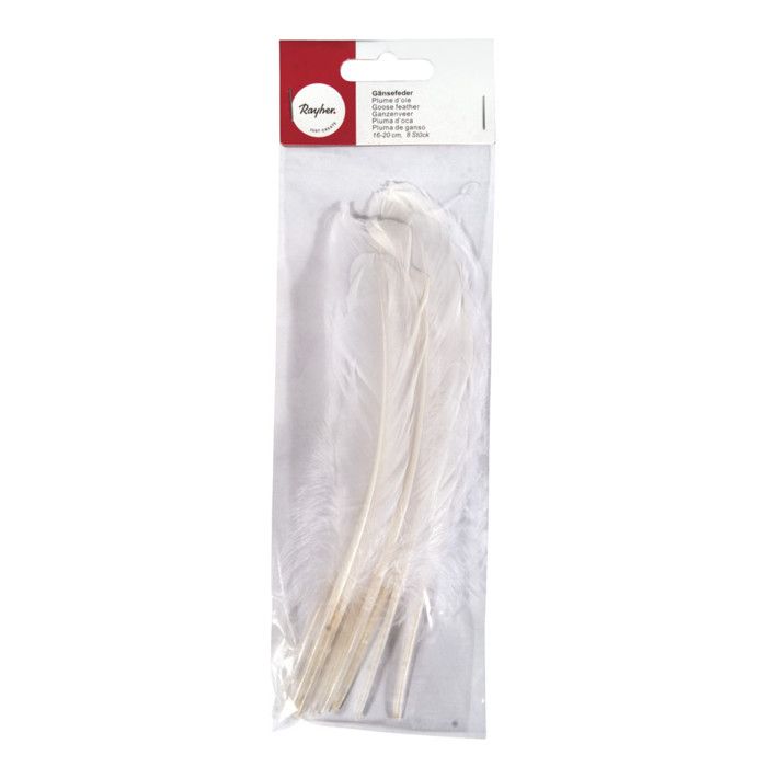 Goose Feather, 16-20 Cm, 8 Pcs, White