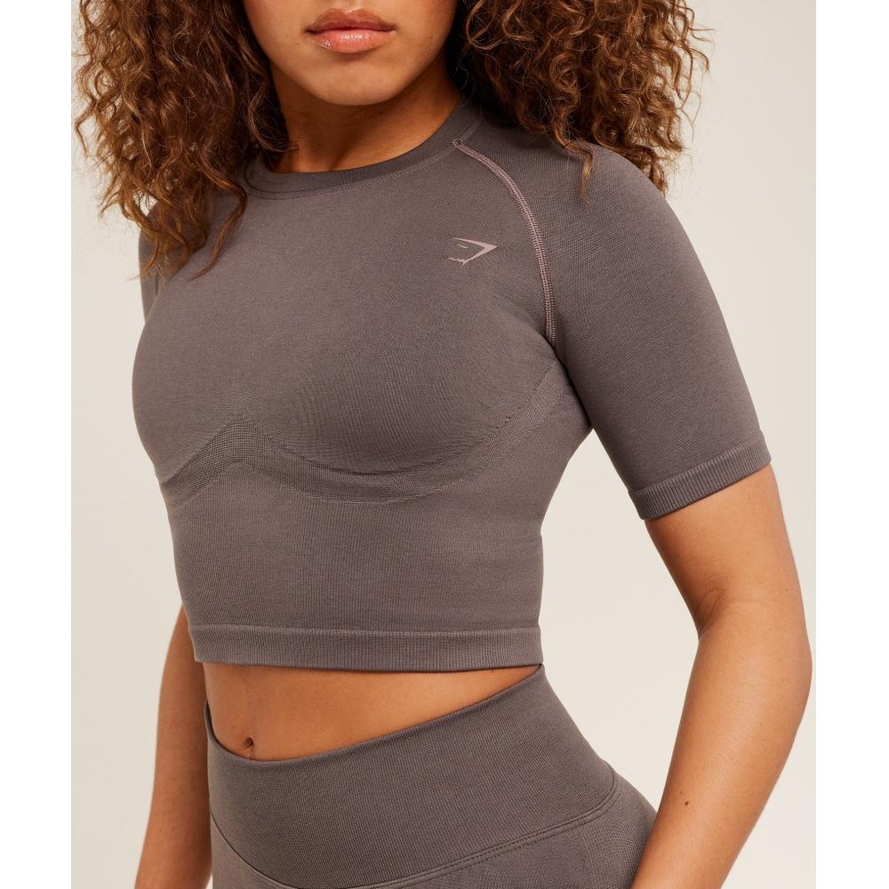 Gymshark Lift Seamless Short Sleeve Top Cool Brown B6b4q Nbzg