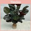 Simulated Elastica Ficus Plants Hotel Parks Artificial Landscapes Ornament Room