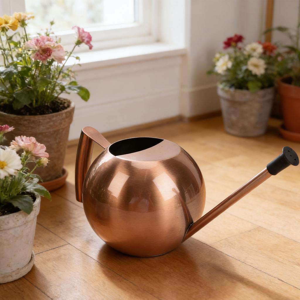 Watering Can with Spout 1000ml Stainless Steel Round Indoor Plant Watering Can with Detachable Head for Home Garden Flower