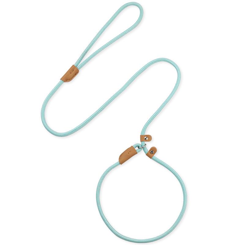 Universal Buckle Dog Leash for Medium & Large Dogs - P Chain Collar