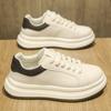 Autumn and Winter New Thick-soled Heightening Solid-color Board Shoes Light Luxury Versatile Sports and Leisure Shoes Men's