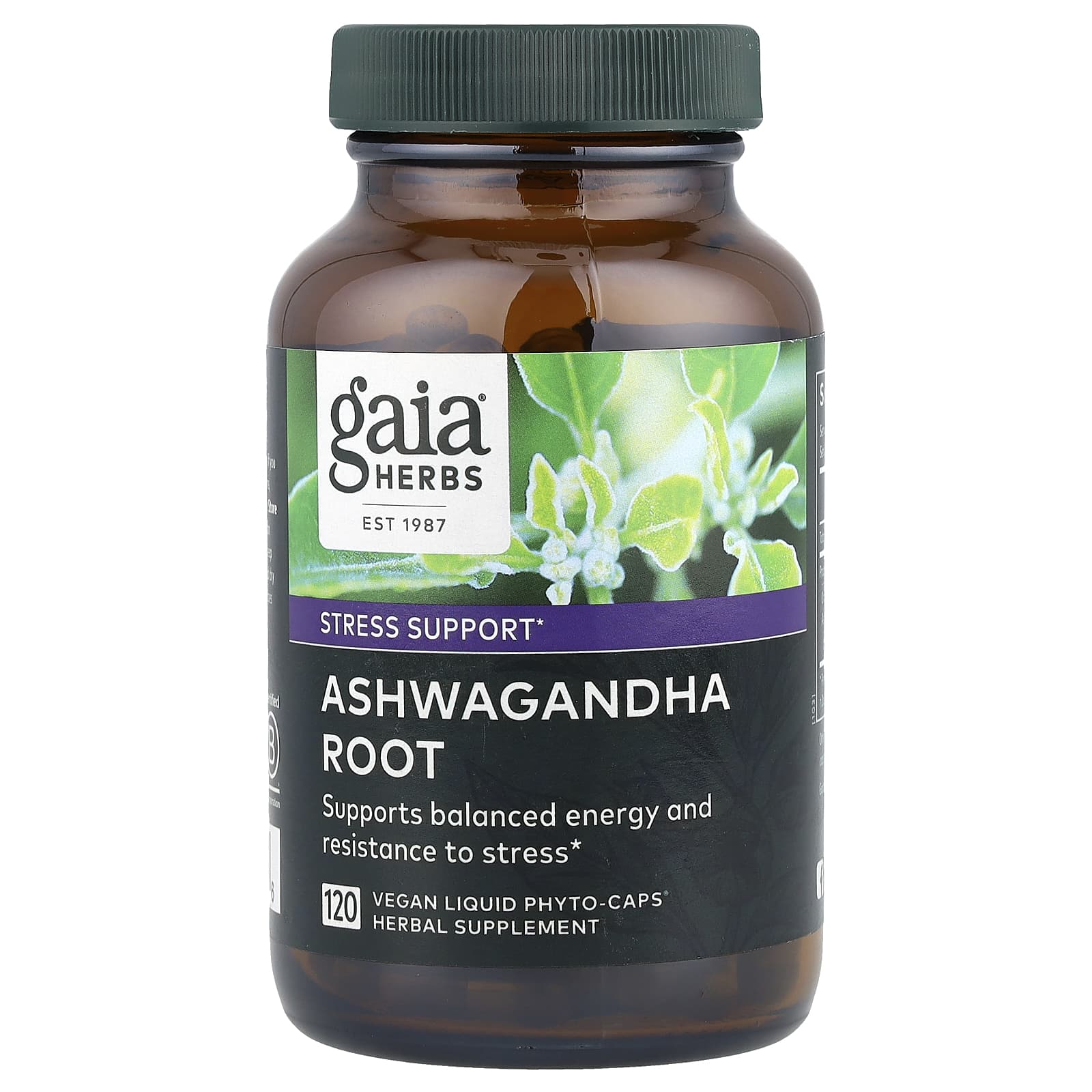 

Gaia Herbs, корінь ашваганди, рослинні рідкі фітокапсули, 120 таблеток
