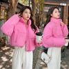 Baumwolljacke Damen Kurzstil Stehkragen Verdickte Daunen-Baumwolljacke Damen Koreanische Version Brotjacke Studenten Baumwolljacke Jacke