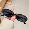 1pc Vintage Fashionable Small Frame Oval Shaped Plastic Sunglasses Outdoor Travel Beach Holiday