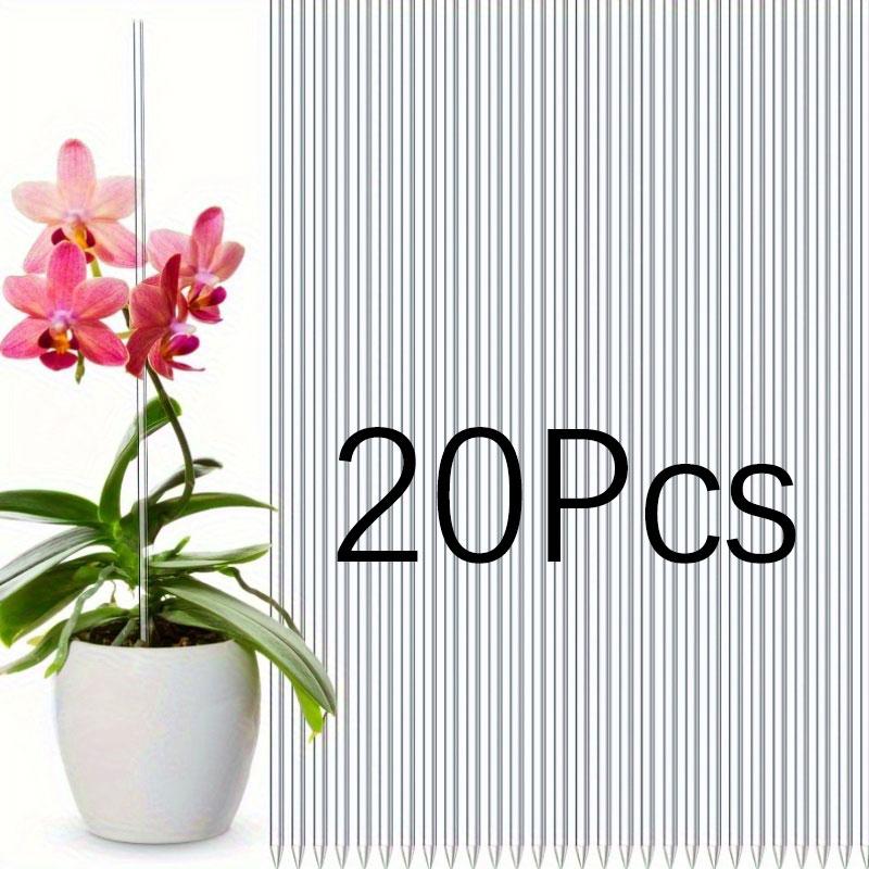 Acrylic Plant Climbing Frame Transparent And Durable, Suitable For Indoor Vines And Flower Pots Support Plant Climbing Frame