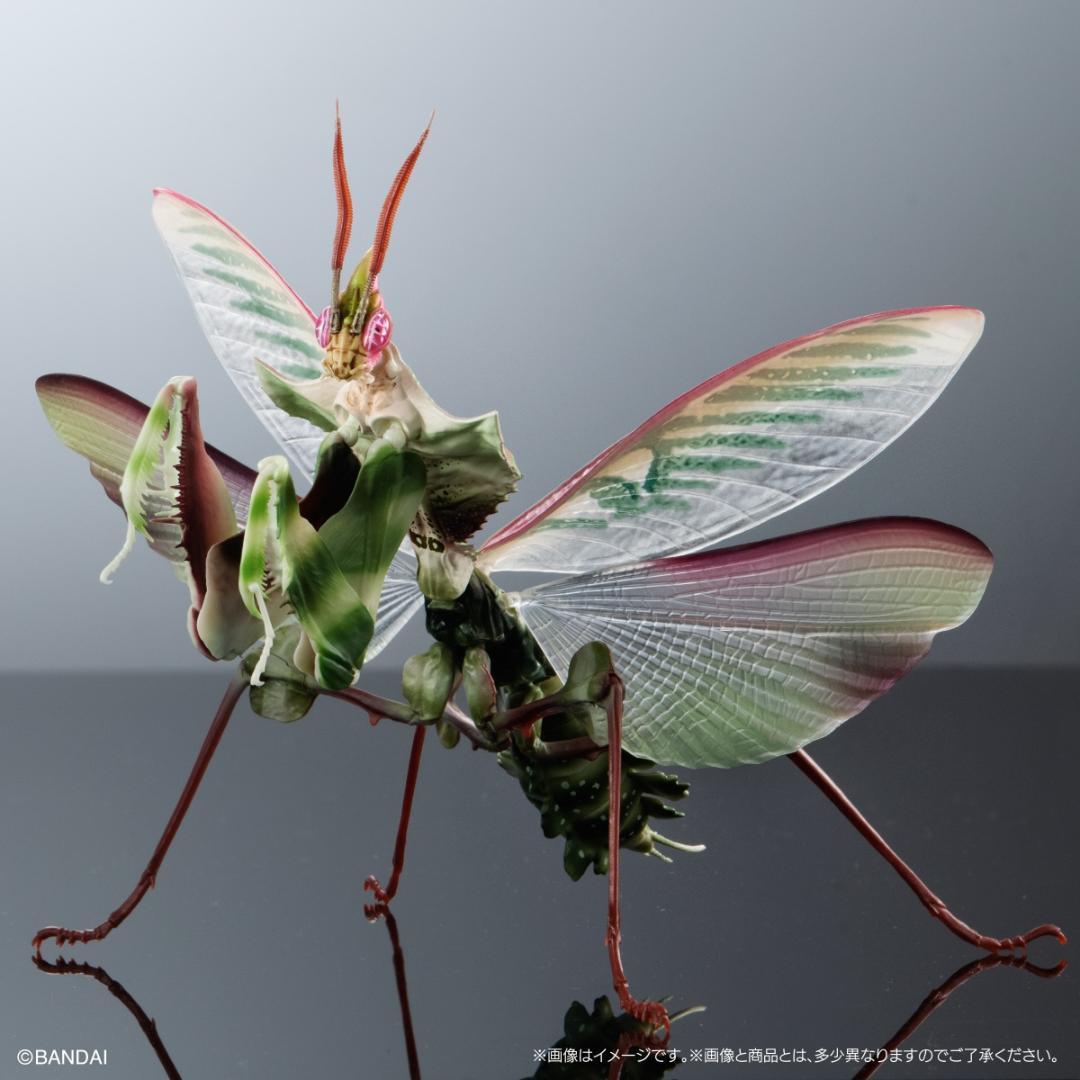 

[USED] The Great Encyclopedia of Living Things: False-flowered Mantis, Male, Adult, Insect Figure, Gashapon