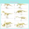 Dinosaur Skeleton Replica With Plastic Material For Childrens Dinosaur Collectible Exhibit