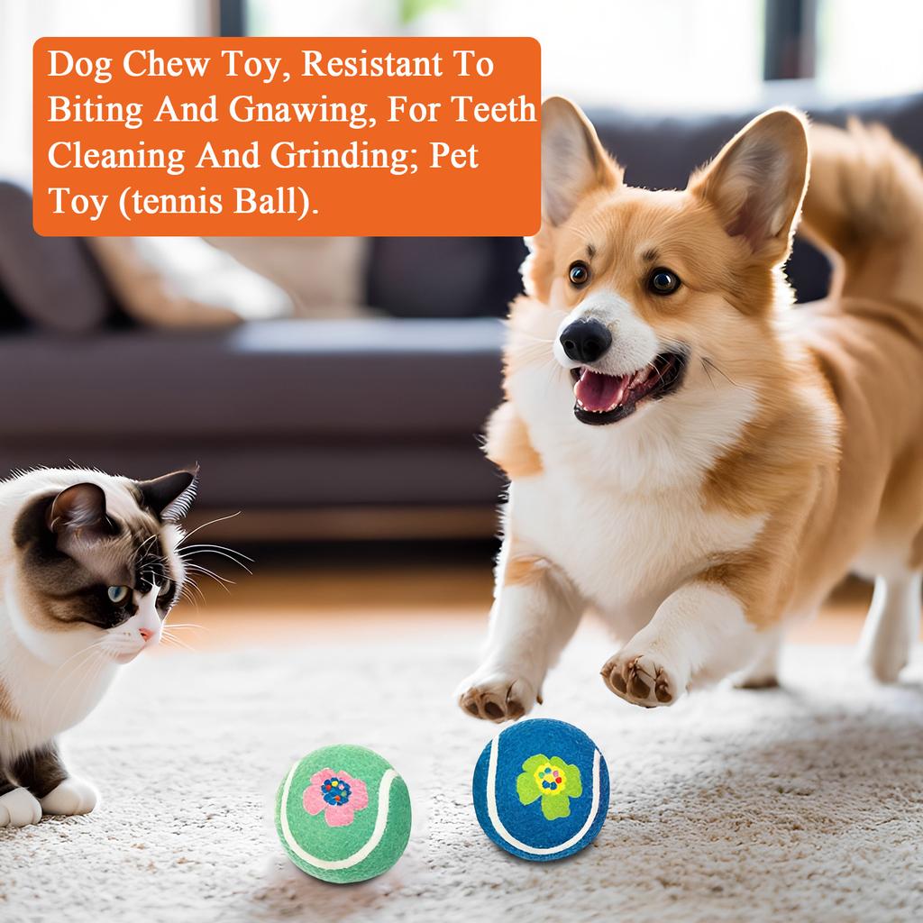 Hundekauspielzeug, Biss- und Knabberfest, Zur Zahnreinigung und zum Abwetzen; Haustier Spielzeug (Tennisball).