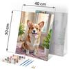 Paint By Number Picture 40X50 Cm Massido Corgi Dog