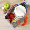 Solid Color Insulated Lunch Bag Large Capacity Thermal Picnic Bag Lunch Handbag  Picnic