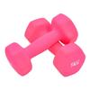 Hengda 10kg Home Fitness Dipped Dumbbell Set