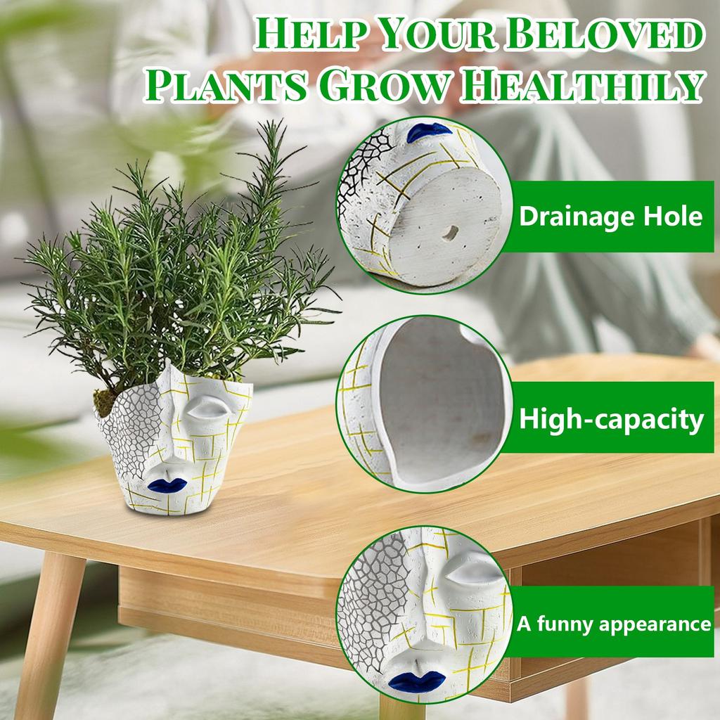Creative Human Face Crack Abstract Funny Flower Pot Resin Craft Plant Pot Container