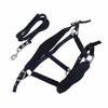 Horse Halter Set Prevent Rubbing Adjustable Horse Training Halter with 2m Horse Leash for Training Daily