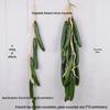 Farmhouse Hanging String Vegetables with Chili, Potato, Corn, Garlic & Peanut Model for Restaurant Courtyard Decor