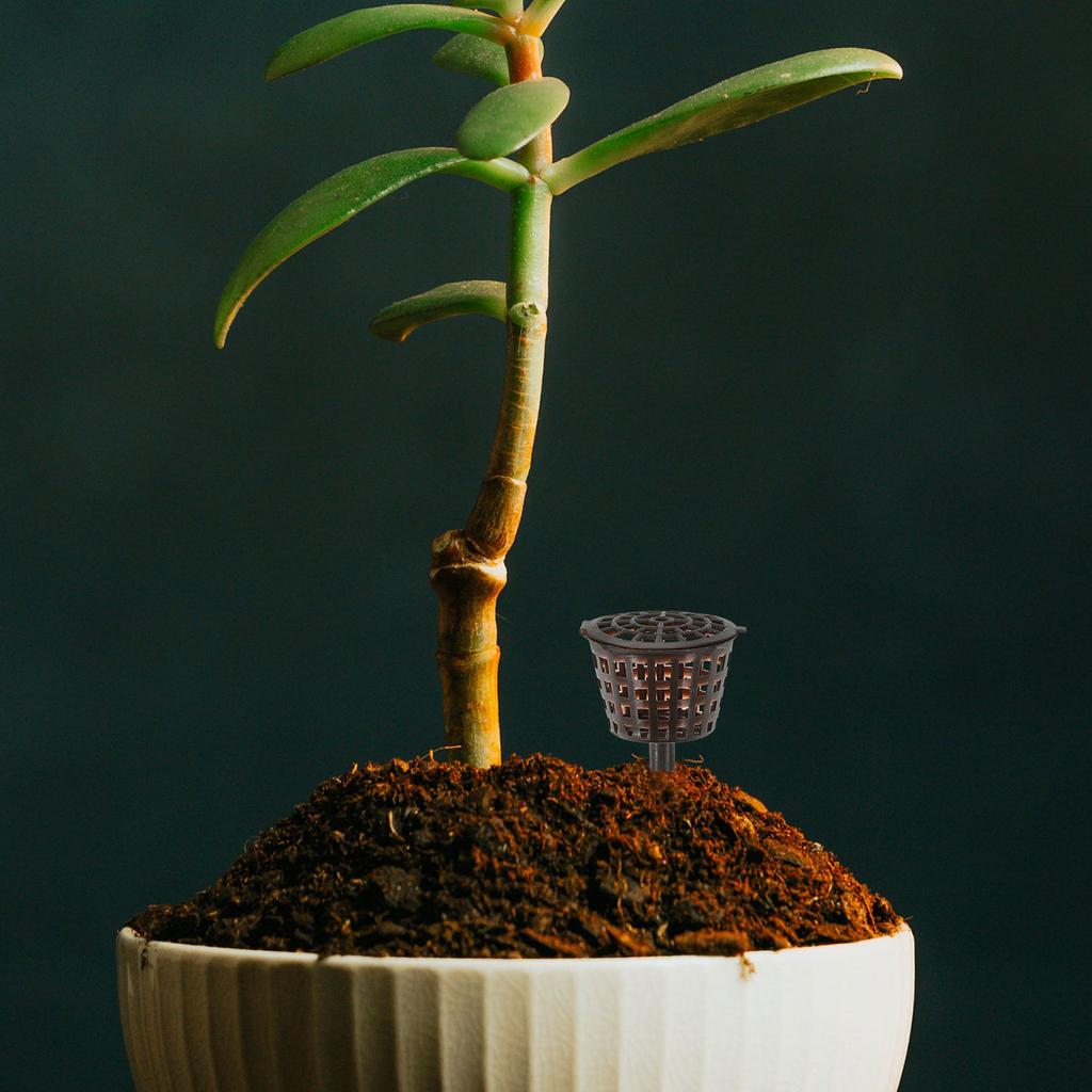 20 Stück Premium Kunststoff-Düngerkörbe für Bonsai, Orchideen, Blumenpflanzen, Langzeit-Nährstoffspender, für Garten- und Farmgebrauch