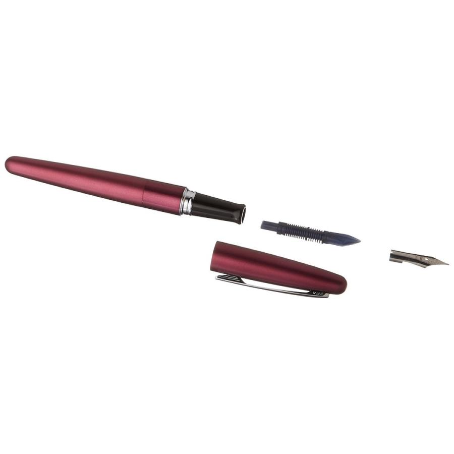 Pilot Cocoon Fountain Pen Bordeaux Medium Nib FCO-3SR-BO-M with Converter