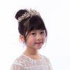 Korean Princess Crystal Headband: Children's Alloy Crown for Birthdays and Performances