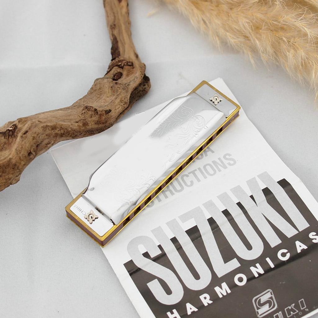 Mundharmonika 10 Löcher C-Ton Klar Stabiler Klang Mundorgel Exquisite Schöne Harmonica C