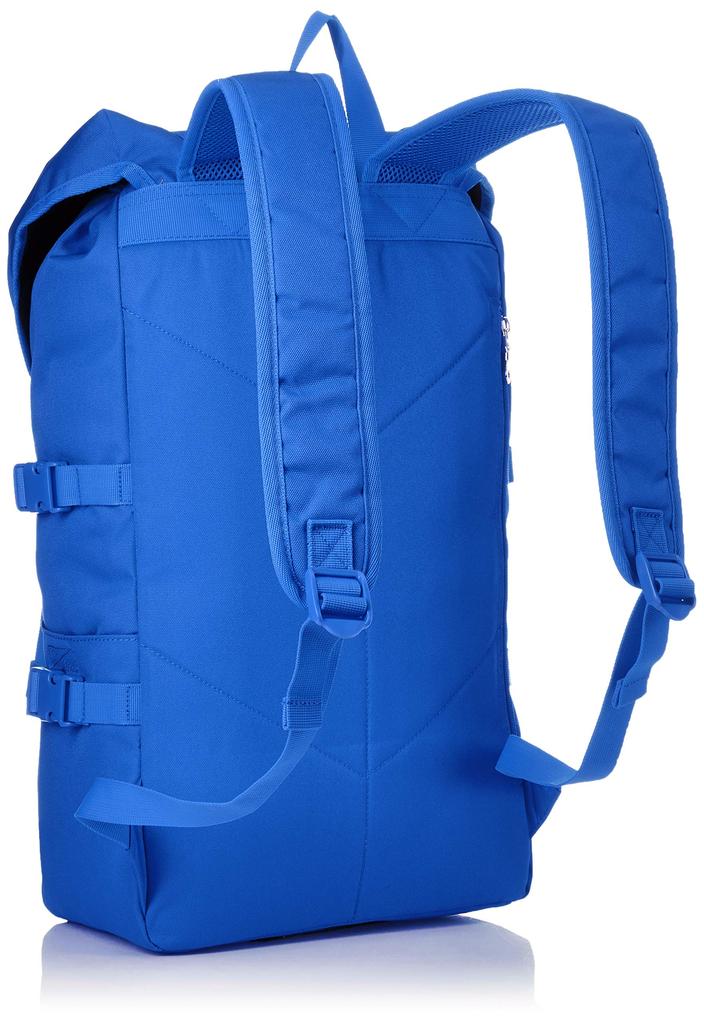 Aventura Women's Nylon Mountain Backpack NM-1526, All Blue