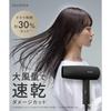 Salonia Speedy Ion Hair Dryer High Airflow Fast Drying Lightweight Negative Ion SL-013AGR Gray