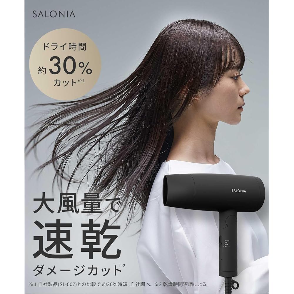 Salonia Speedy Ion Hair Dryer High Airflow Fast Drying Lightweight Negative Ion SL-013AGR Gray