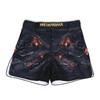 ANOTHERBOXER MMA Shorts BJJ UFC Training Fantasy Armor Design Lightweight Breathable Fight Gear