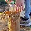 Shoulder Bag Molle Water Bottle Pouch Drawstring Kettle Carrier Bag  Climbing