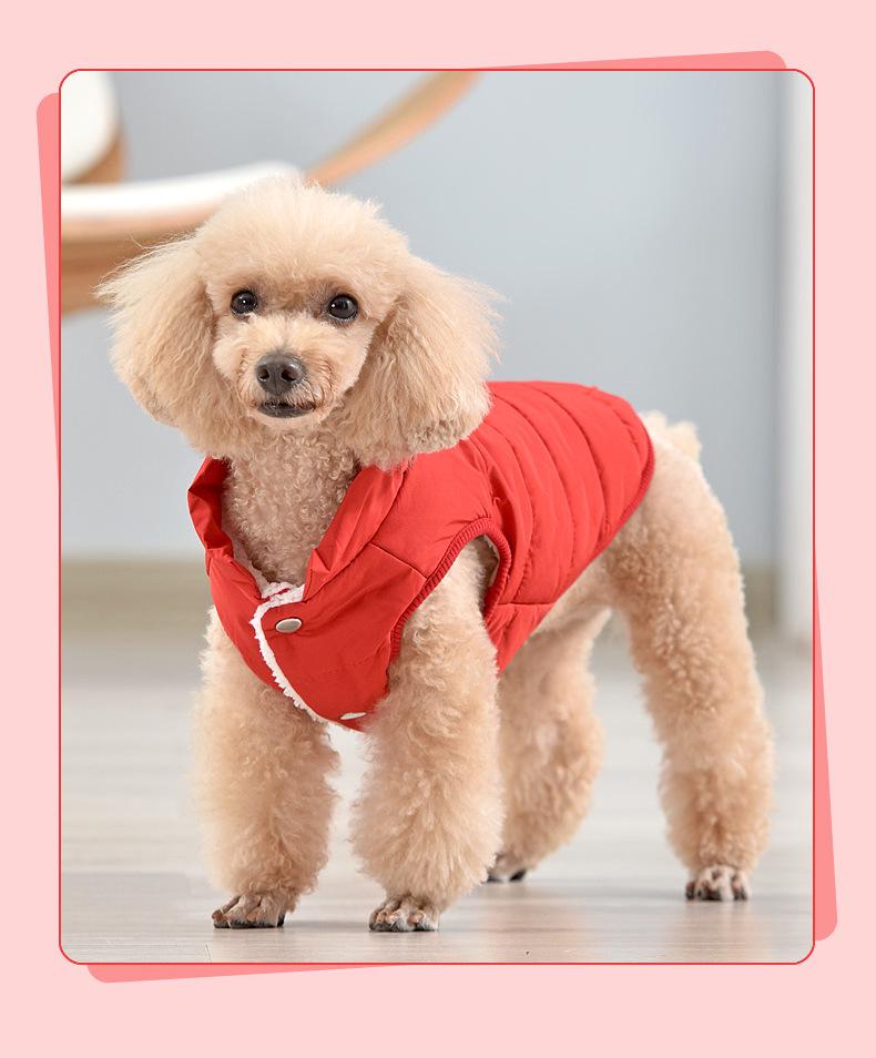 Warme, wasserdichte Baumwollweste für kleine und mittelgroße Hunde – Samtgefütterte Haustierbekleidung für Herbst und Winter