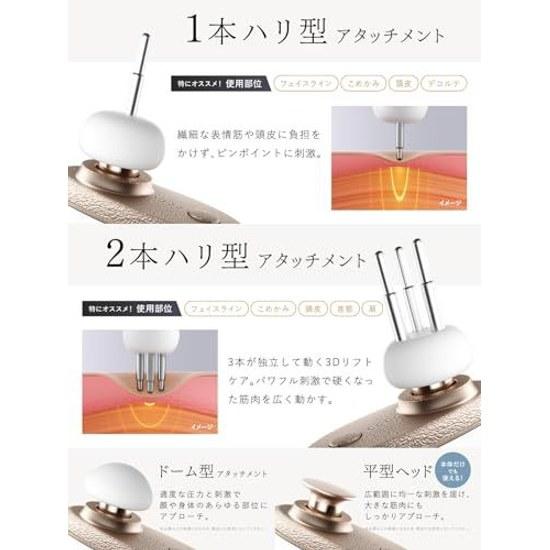 Kyushu University Doctor Supervised Face Point Fascia Release Gun NIPLUX BEGUN Facial Device Lift Up Pinpoint Birthday Present BLACK