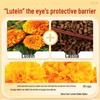 Lutein Eye Relief Patches