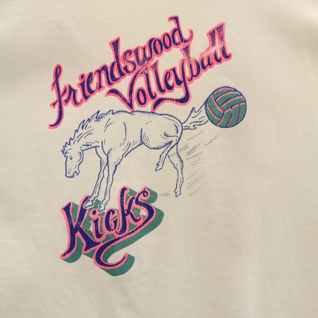 Hanes 80s 90s Old USA made volleyball Short sleeve T-shirt Men's Used