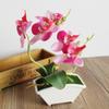 Butterfly Orchid Flower Home Office Decor with Flowerpot