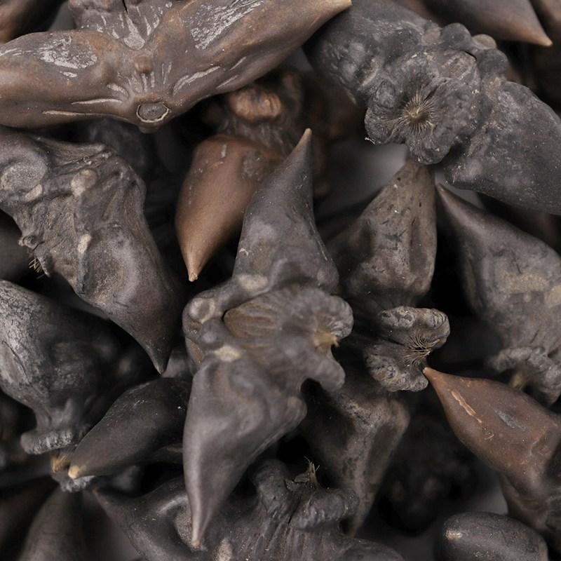 Donguihanjae Dried Neungsil Water Chestnut Fruit 300g