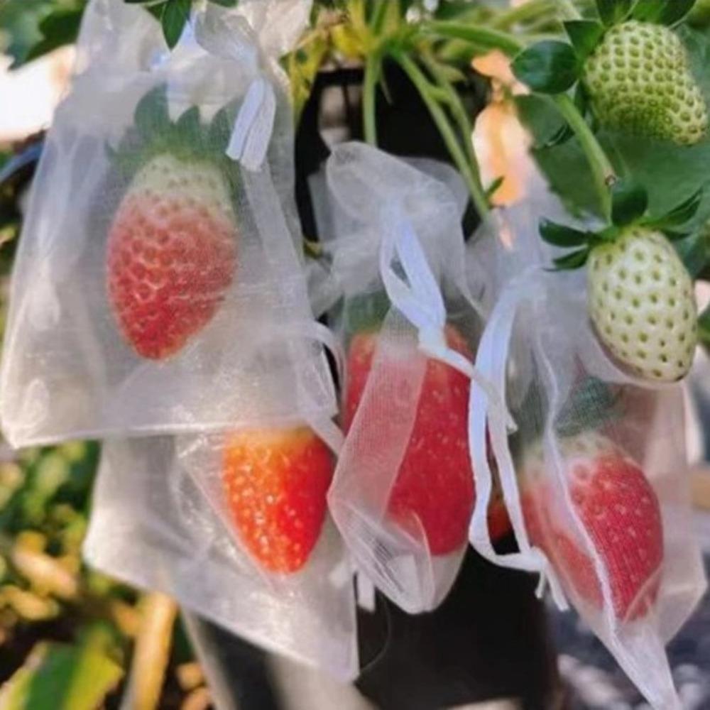 100 stuks Net Druiven Fruit Groeizakken Ademende Druiven Beschermhoes Voor Ongediertebestrijding Anti-Vogel