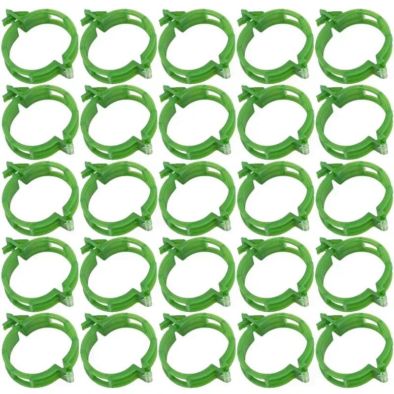 Wholesale Green Plant Support Clips Garden Vine Strapping Fixing Clip for Climbing Tomato Grape Vegetables Stalk Holders Buckle