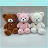 Entzückendes kreatives Teddybär-Stofftier Niedliche Tierpuppe Geschenk für Freundin
