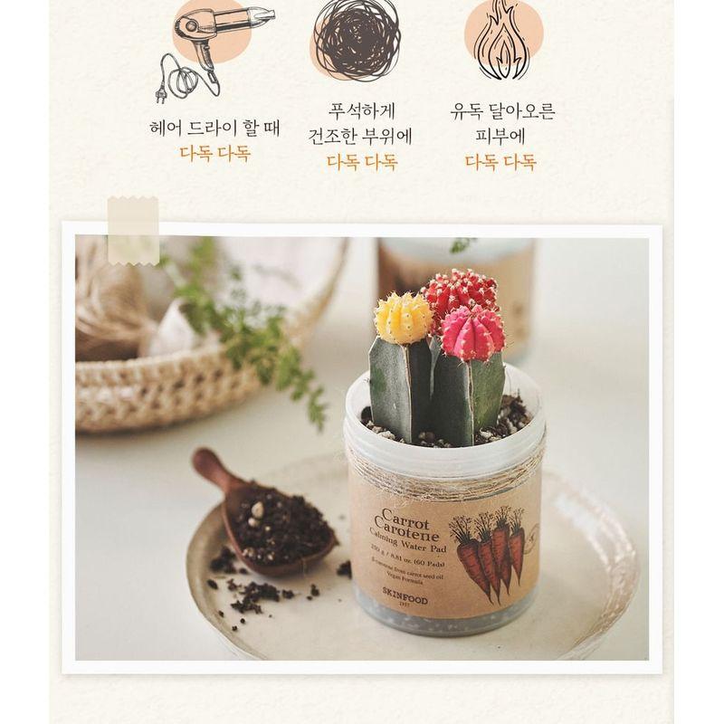 Skinfood Carrot Carotene Calming Water Pad Special Plus Set