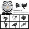 GODOX Studio Flash Strobe Light 300Ws GN58 Recycle Time 110V Wireless X System 150W Modeling Lamp with Bowens Mount for Wedding Portrait Fashion
