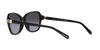 Sunglasses HC8349U CD481 50028G BLACK 56 [Coach] Women's