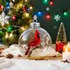Collectible Bird Glass Ornaments Nature Faux Crystal Ornament Handmade 3D Warmth And Meaning Set Clear Plastic Christmas Ball Holiday Decor Loved One