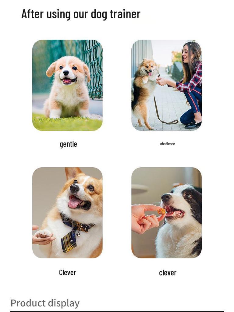 New Anti-Bark Dog Training Remote Device