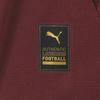 Puma Manchester City 2024 25 Third Jersey Man City Jersey