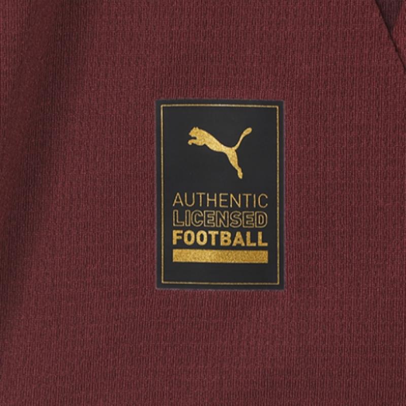 Puma Manchester City 2024 25 Third Jersey Man City Jersey