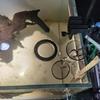 Shrimp Feeding Tube and Dish Fish Feeder Ring Set Plastic Tubes Easy to Install