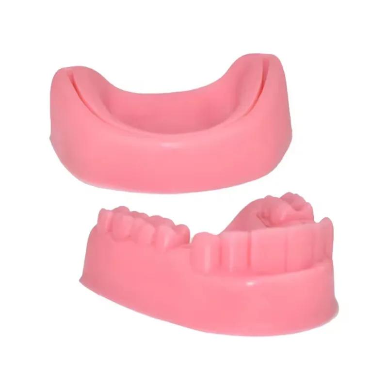 Dental Suture Oral Teeth Gum Suture Training Surgical Practice Dental Wounds Dentist Teaching Model Dental Lab Tools