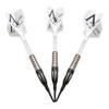 DYNASTY A FLOW CRYSTAL LINE FORAY 2BA dart set dart barrel